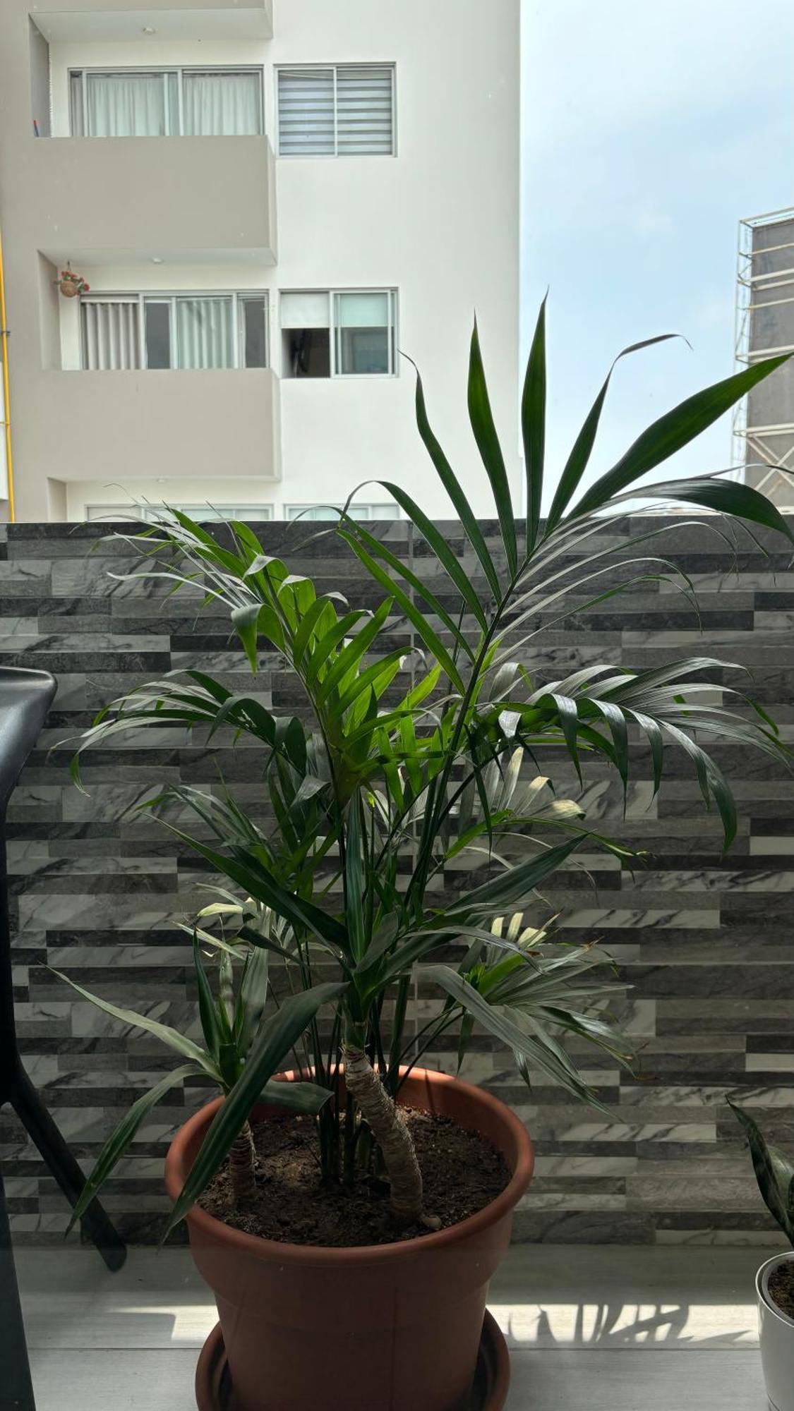 Departamento En Miraflores Con Surquillo Lima Kültér fotó